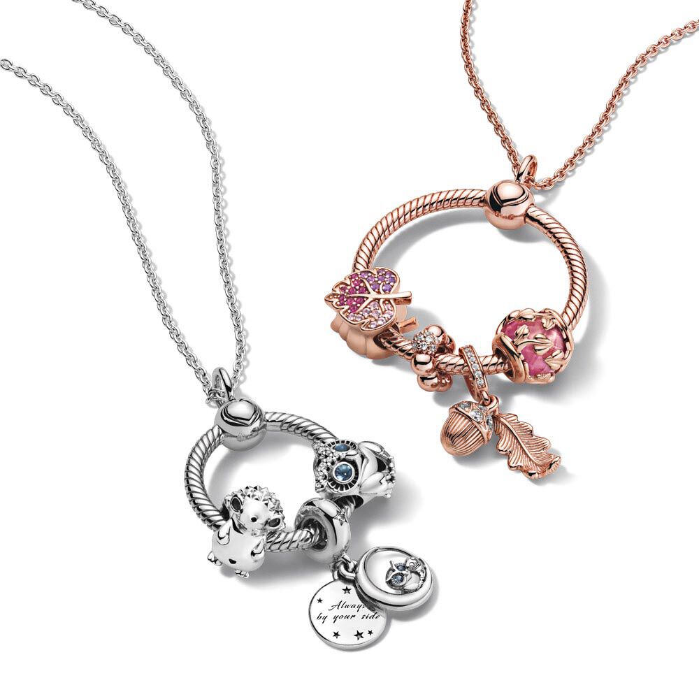Pandora Moments Medium Charm Holder Pendant