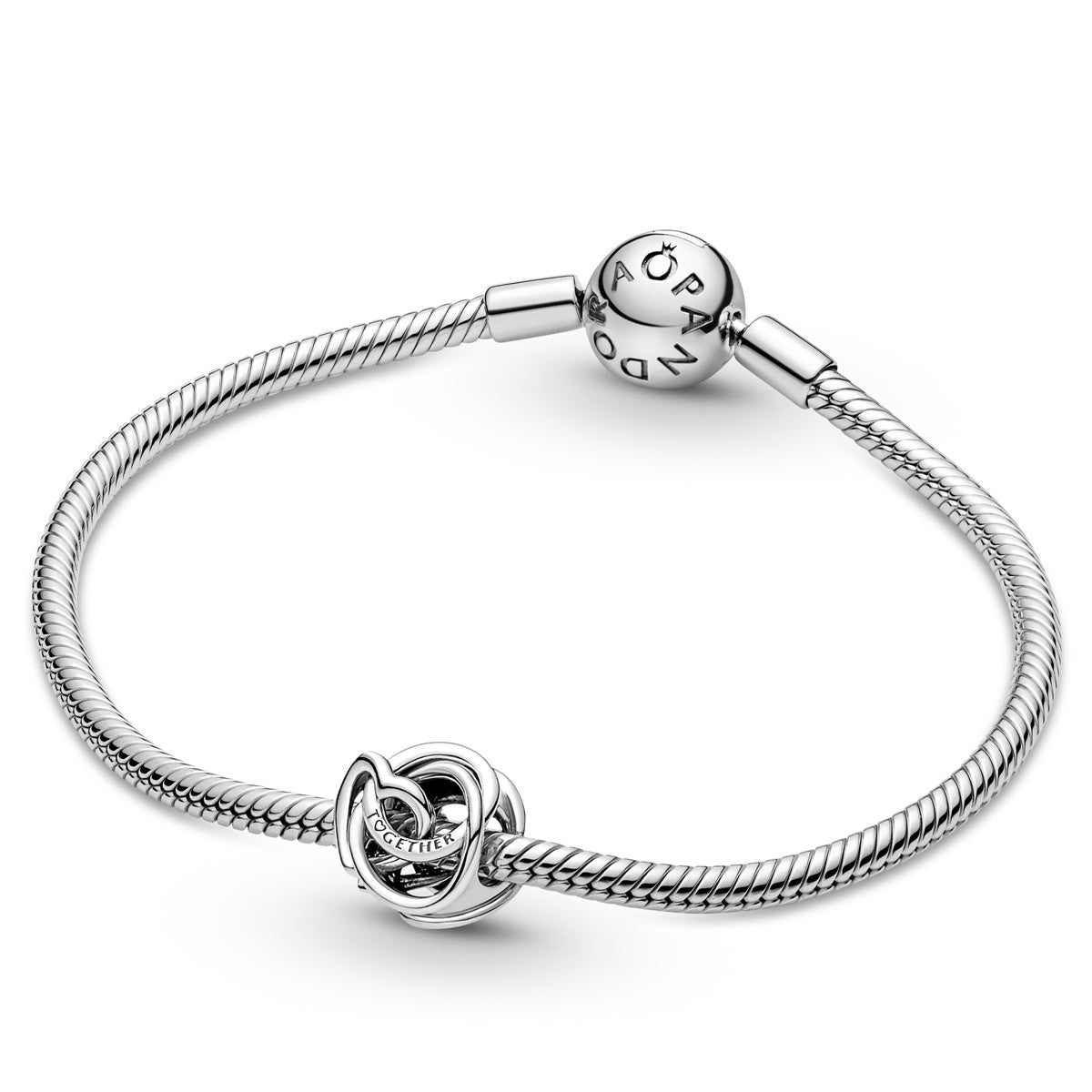 Pandora Family Always Encircled Heart Charm