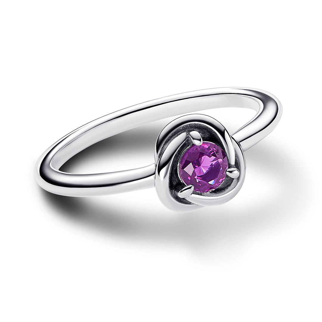 February Purple Eternity Circle Ring