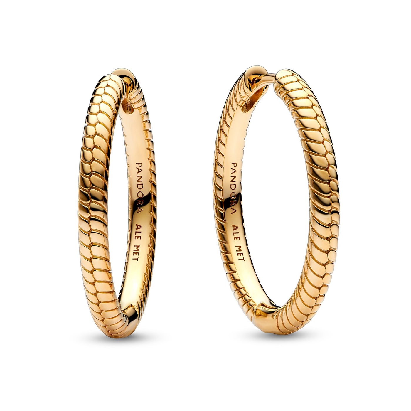 Moments Charm Hoop Earrings