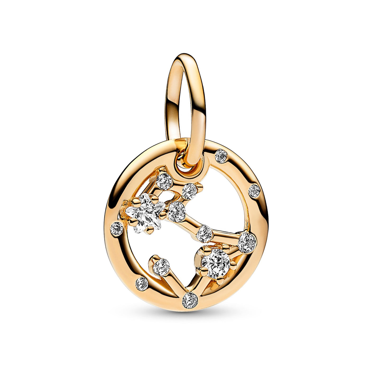 Pisces Zodiac Dangle Charm