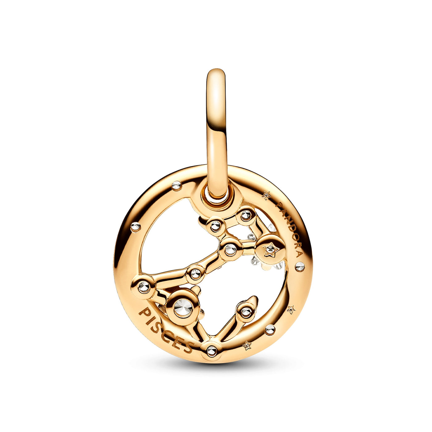 Pisces Zodiac Dangle Charm